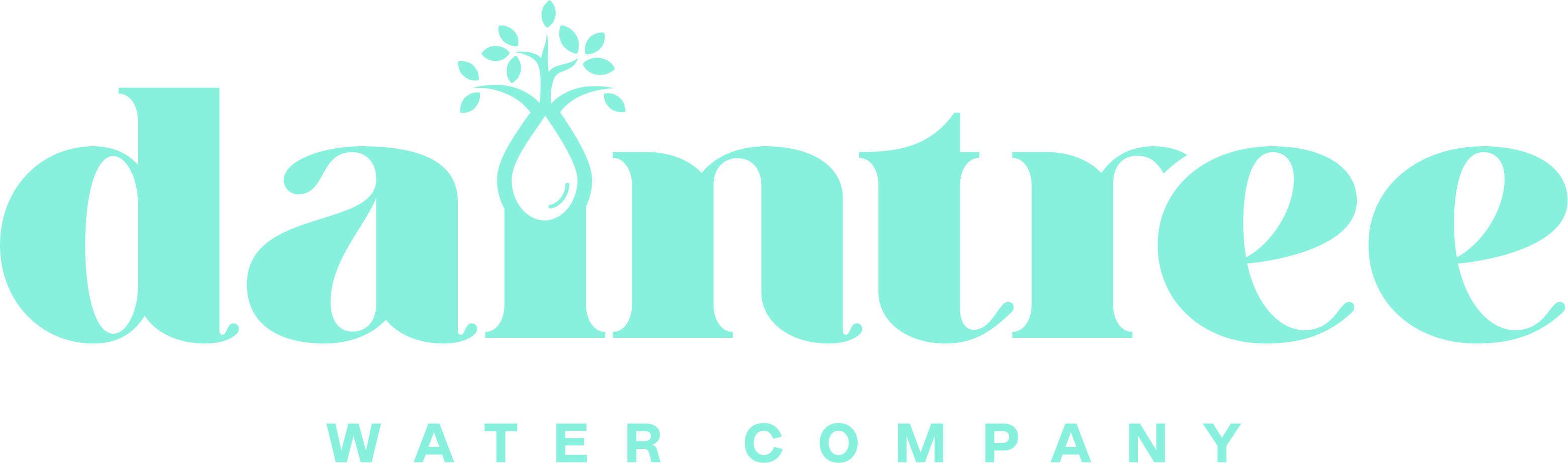 Daintree Water Company